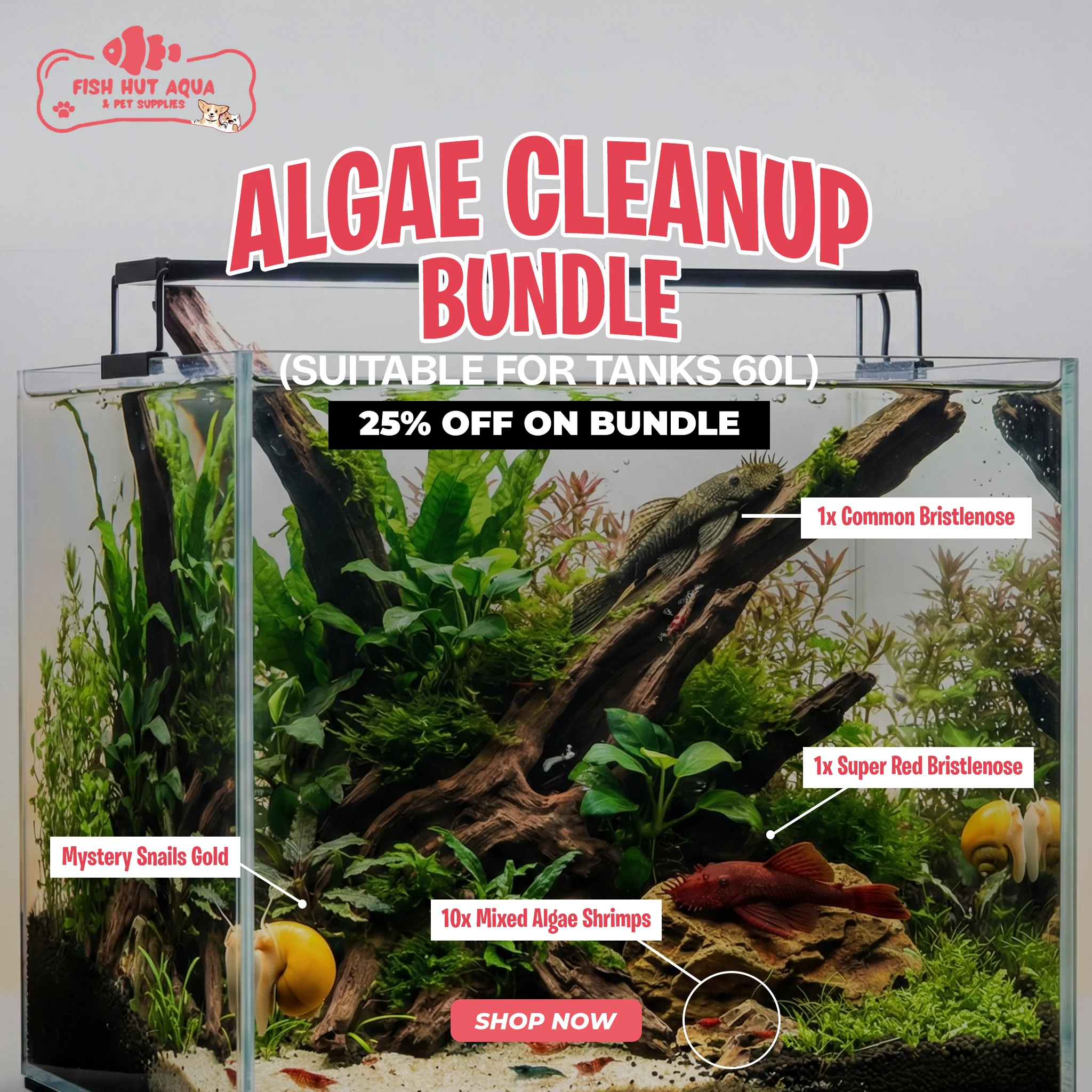Algae Cleanup Bundle - 25% OFF - Image 3