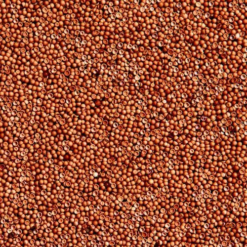 Brine Shrimp Eggs - 25g - Image 2