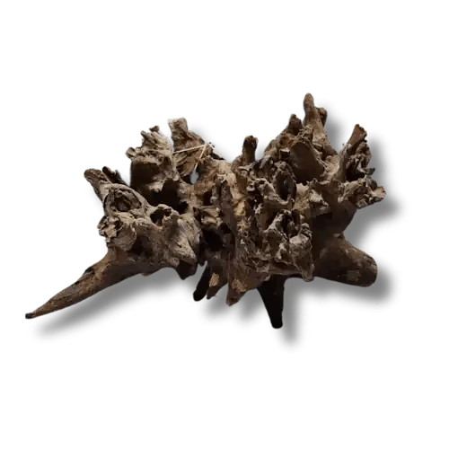 CORAL WOOD - Freshwater Suitable